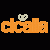 Cicalia